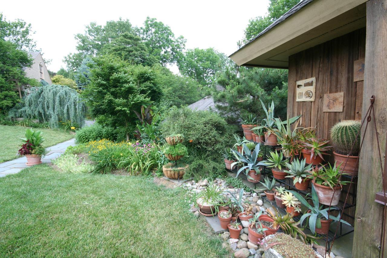 Alpenhof Bed & Breakfast Media Exterior photo